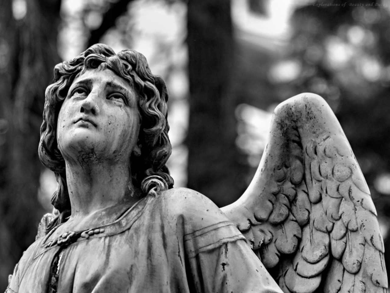 Requiem Mass for All Souls