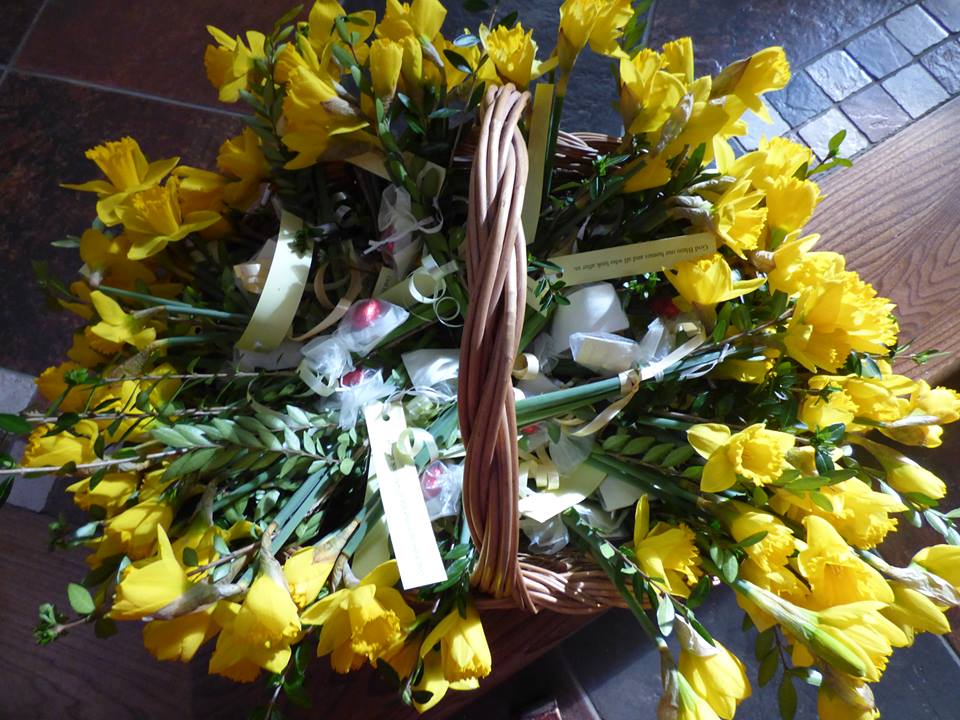 Mothering Sunday Daffodils